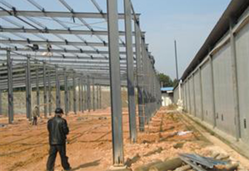 Whole plant design of mushroom factory