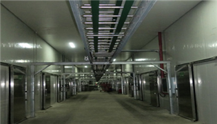 （寧夏）科技局給予本司技術(shù)人員王小軍、屈安民有機杏鮑菇高產(chǎn)技術(shù)創(chuàng)新表彰會的通報