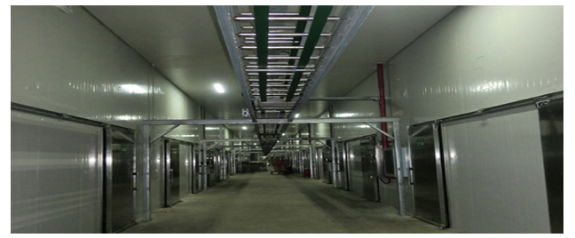 （寧夏）科技局給予本司技術人員王小軍、屈安民有機杏鮑菇高產技術創新表彰會的通報